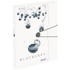 document-box-bia-hop-fruit-blueberry - ảnh nhỏ  1
